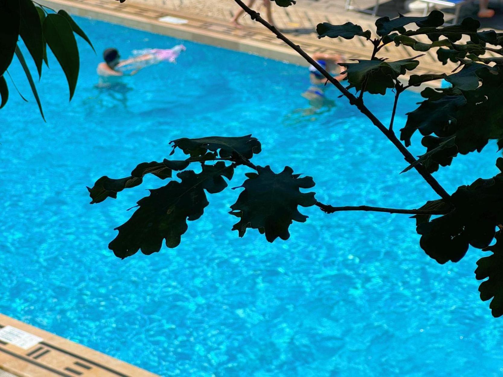 Village Camping Santa Fortunata - Campogaio ซอร์เรนโต ภายนอก รูปภาพ
